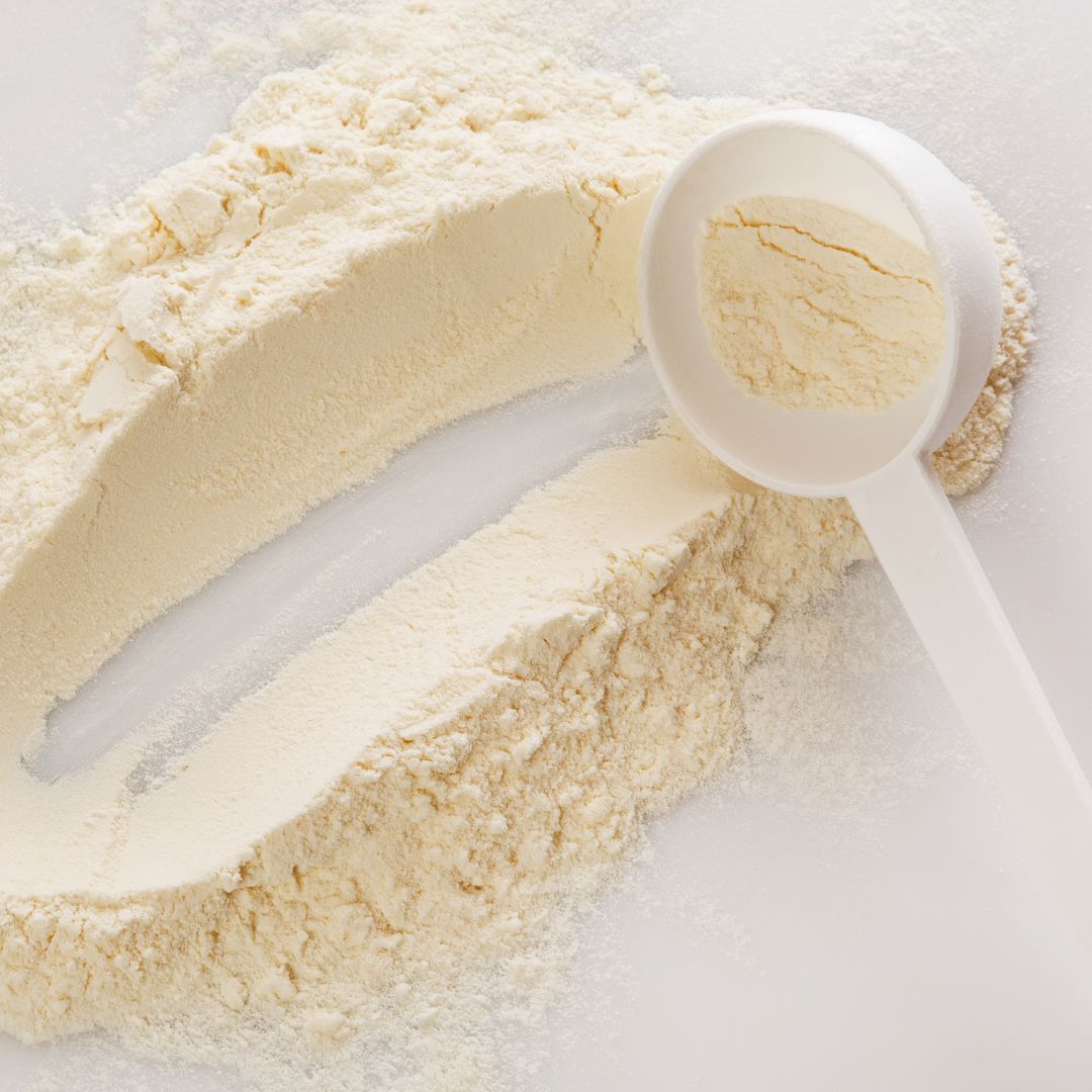 Understanding Powdered Milk Prices
